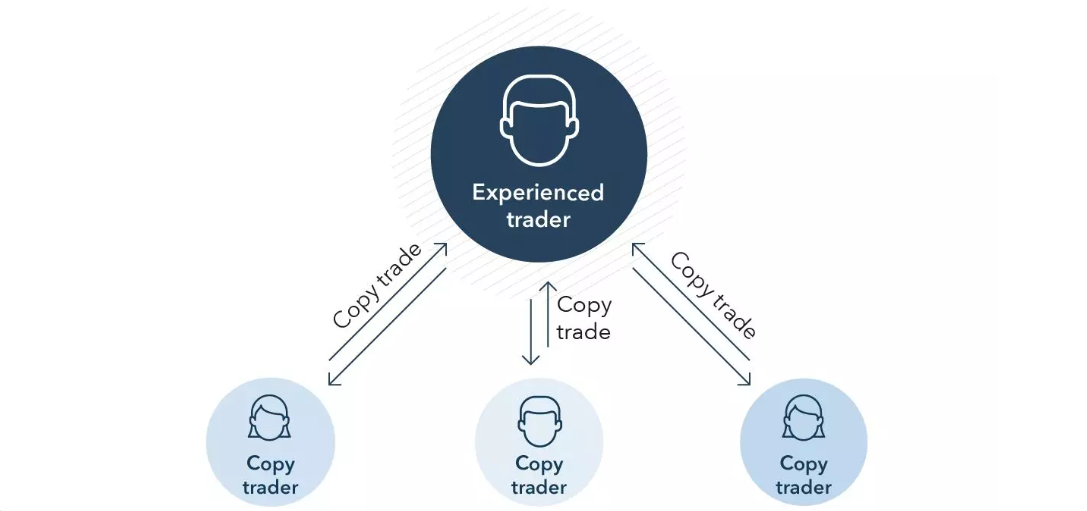 5 Best Copy Trading Platforms in Singapore